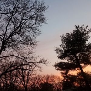 Meet your Posher, Priscilla